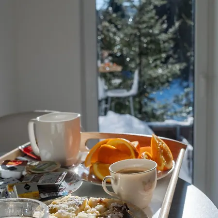 Hotel Lesovna
